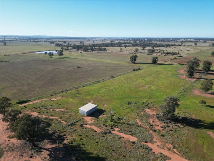 Click to view all images 'Fernleigh' 882 Womboyne Rd West Wyalong NSW 2671 - Image 2