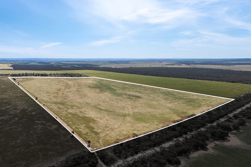 1681 Boundary Road Burdett SA 5253 - Image 1