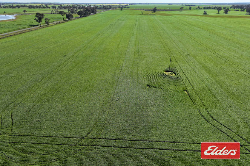 Click to view all images Crown Allotment 92Wanalta Corop Road Colbinabbin VIC 3559 - Image 2