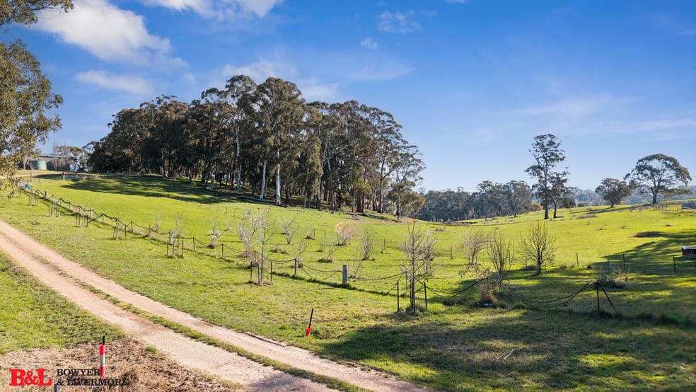 Click to view all images 77 Campbells River Road Black Springs NSW 2787 - Image 3