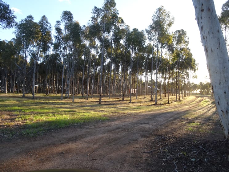 Click to view all images Lot 7244 Tullets Road West Popanyinning WA 6309 - Image 2