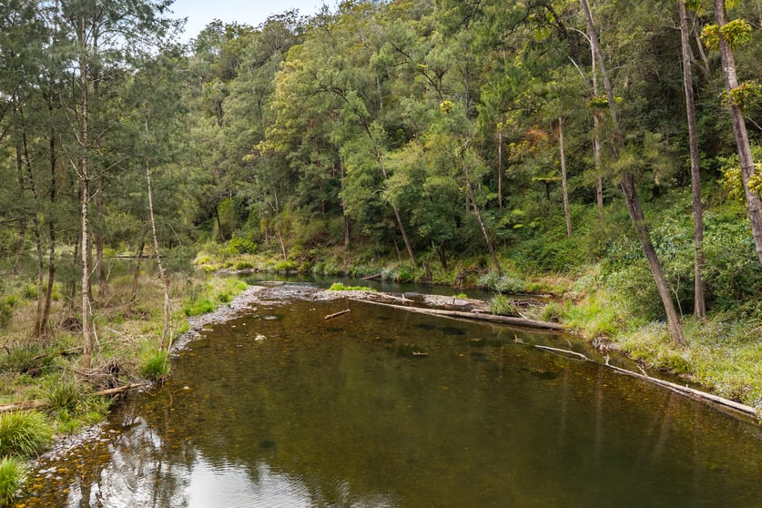 1135 Darkwood Road Bellingen NSW 2454 - Image 3