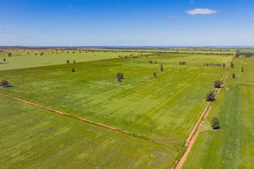 Click to view all images 584 Willows Road Ardlethan NSW 2665 - Image 2