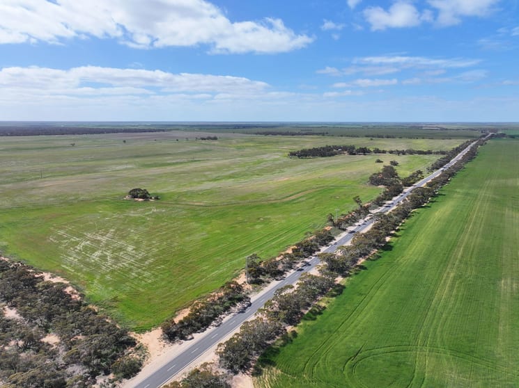 Click to view all images Lots 5 & 6 Mallee Highway Ouyen VIC 3490 - Image 1