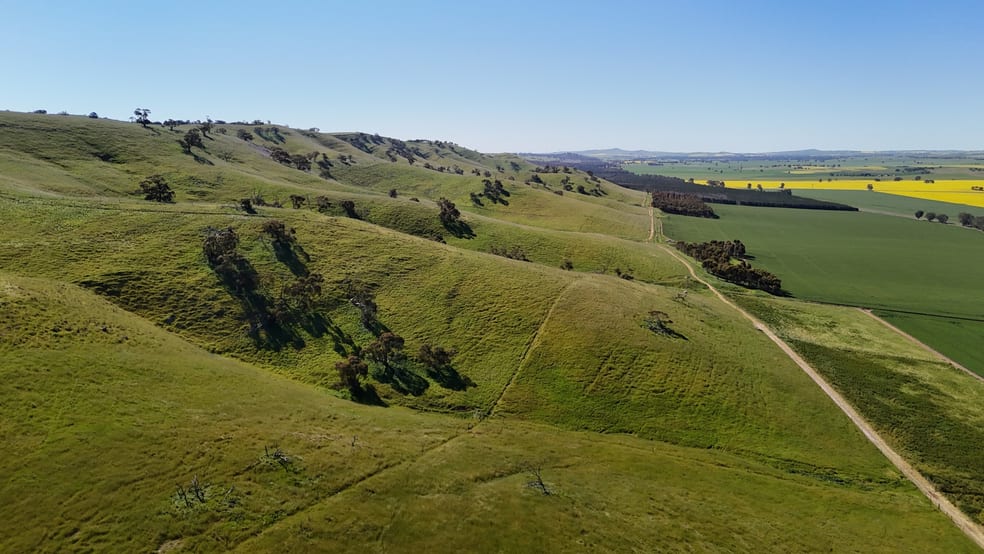 Click to view all images 'Hillside' 395 Campbell Range Road Washpool SA 5454 - Image 3