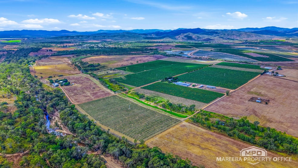 Click to view all images 66027 & 66029 Burke Developmental Road & 302 Wolfram Road Dimbulah QLD 4872 - Image 3
