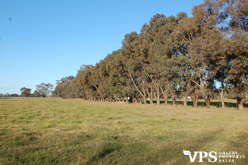 425 Hutchison Road Undera VIC 3629 - Image 2