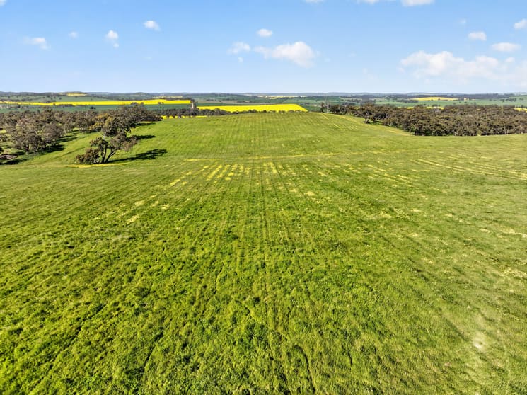 'Woolshed' Kelly Road Undalya SA 5451 - Image 1