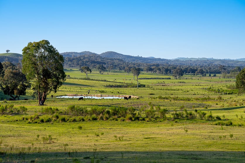 1168 Maryvale Road Bevendale Via Gunning NSW 2581 - Image 3