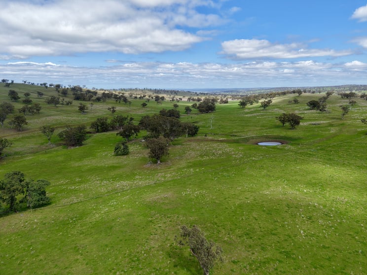 "Willunga" 700 Willunga Road Cassilis NSW 2329 - Image 3
