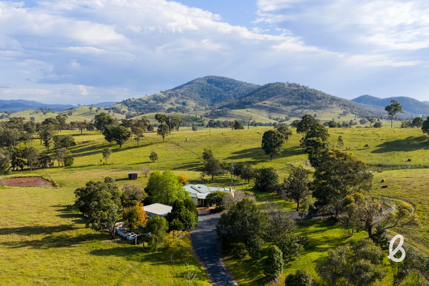 Click to view all images 675 Glendonbrook Road Glendon Brook NSW 2330 - Image 1