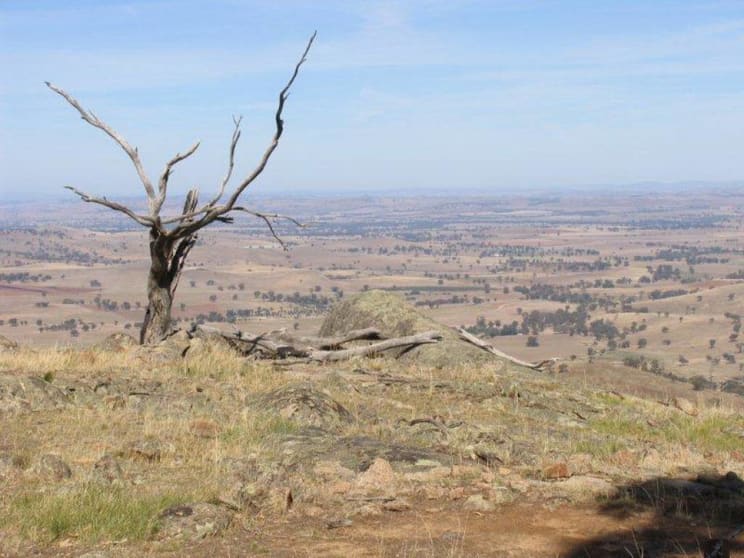 Yammatree Road Burra Creek NSW 2722 - Image 3