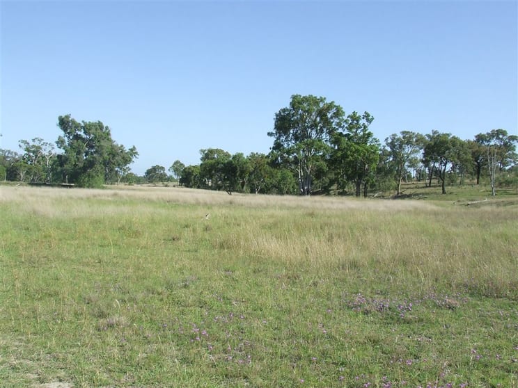 Click to view all images Lot 10 Rockdale Road Karara QLD 4352 - Image 2
