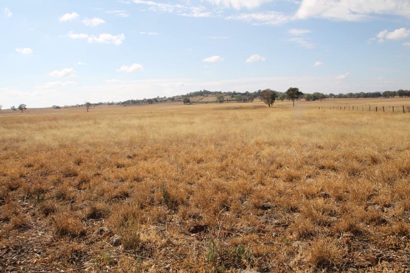 Click to view all images 141 Grimshaw Lane Gulgong NSW 2852 - Image 2
