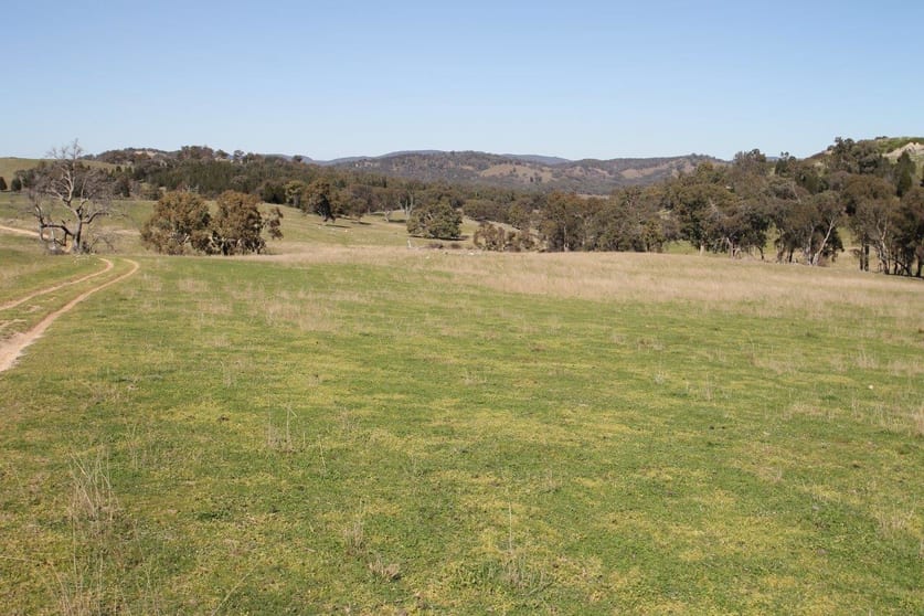 7, 55, 56,/874 Bara Road Mudgee NSW 2850 - Image 1