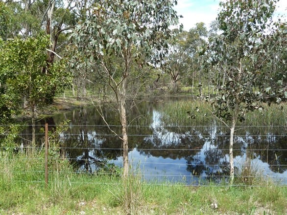 646 Tannery Road Snake Valley VIC 3351 - Image 3