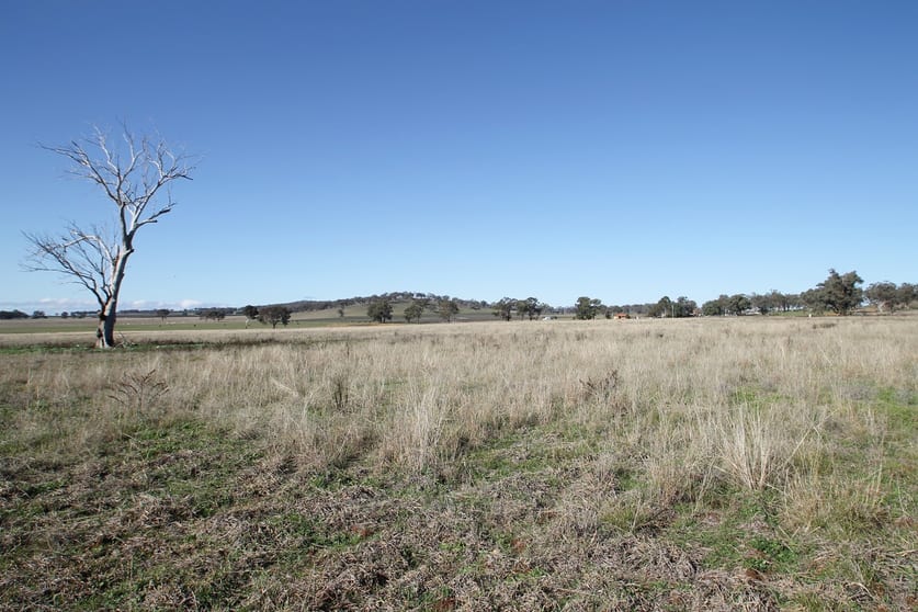 Click to view all images 130 Ridout Lane Gulgong NSW 2852 - Image 1