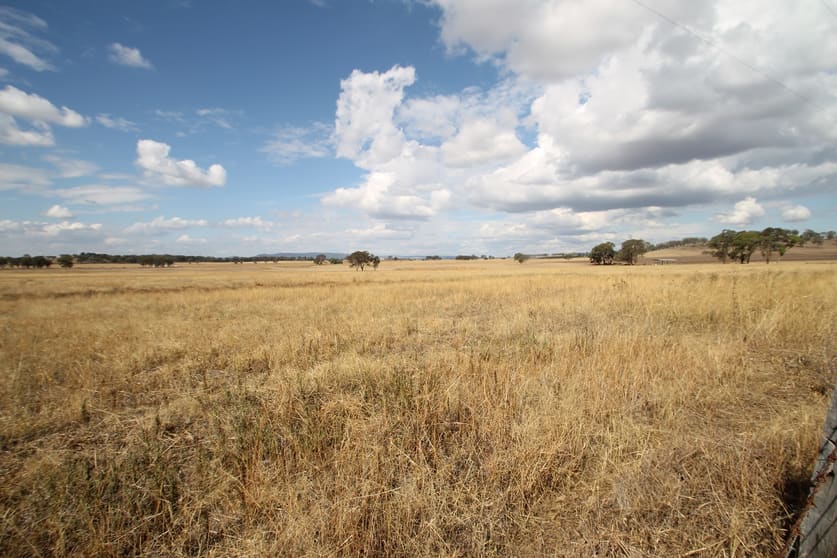 Click to view all images 110 Ridout Lane Gulgong NSW 2852 - Image 1
