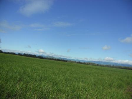262 Caping Road Proserpine QLD 4800 - Image 3