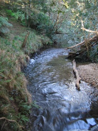 Elands NSW 2429 - Image 3