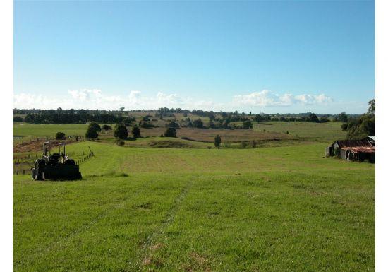Wingham NSW 2429 - Image 2