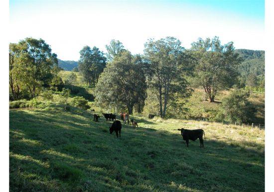 Caparra NSW 2429 - Image 2