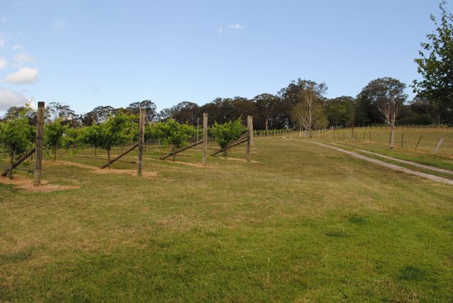 1 Howards Way Mittagong NSW 2575 - Image 2