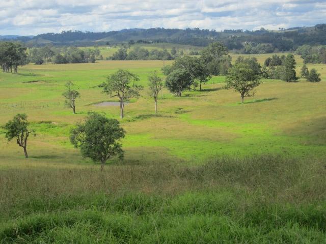 1397 Dungog Rd Dungog NSW 2420 - Image 2
