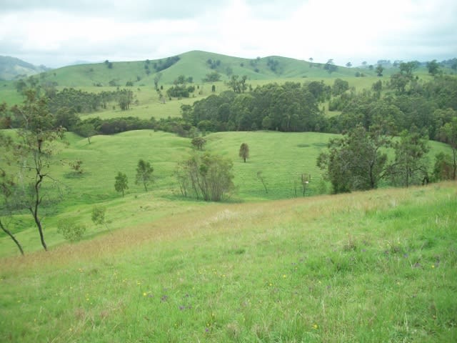 2123 Salisbury Road Dungog NSW 2420 - Image 2