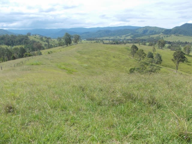 2123 Salisbury Road Dungog NSW 2420 - Image 3