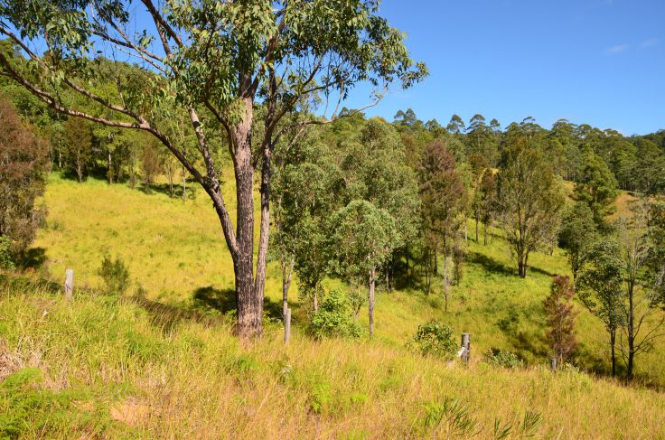 Caparra NSW 2429 - Image 3
