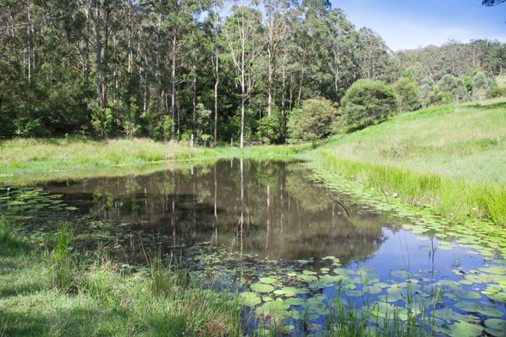 Charity Creek NSW 2424 - Image 1