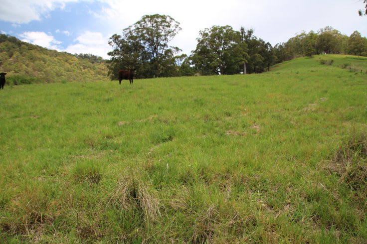 Wherrol Flat NSW 2429 - Image 2