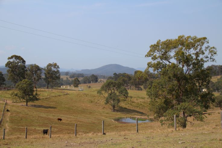 Dollys Flat NSW 2429 - Image 2