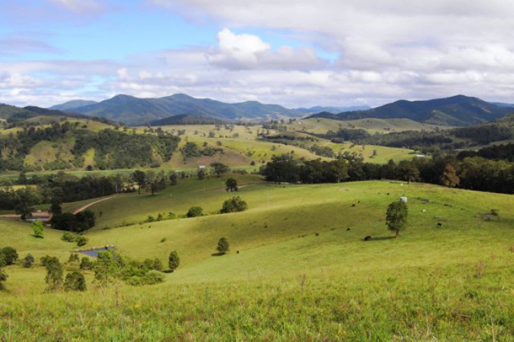 Knorrit Flat NSW 2424 - Image 1