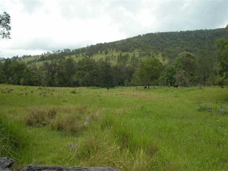 Charity Creek NSW 2424 - Image 1