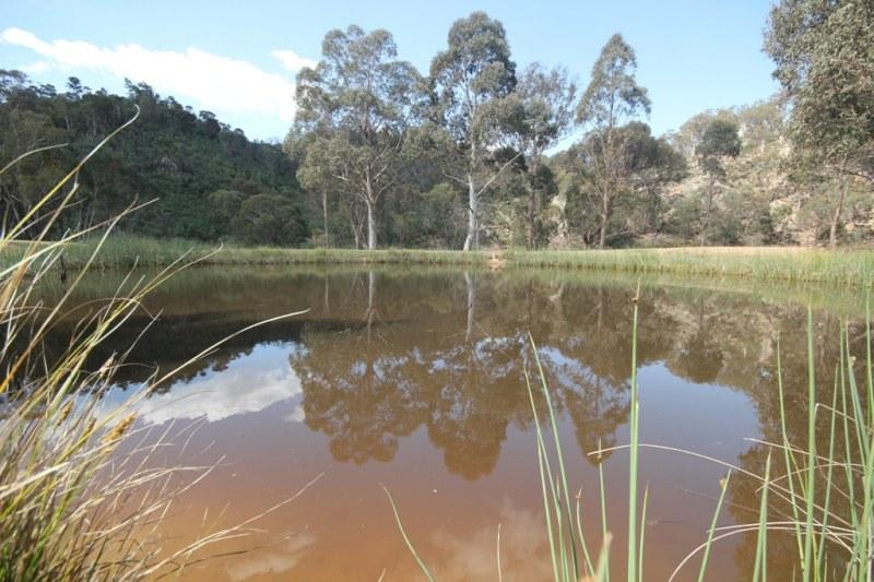 Click to view all images Mudgee NSW 2850 - Image 3