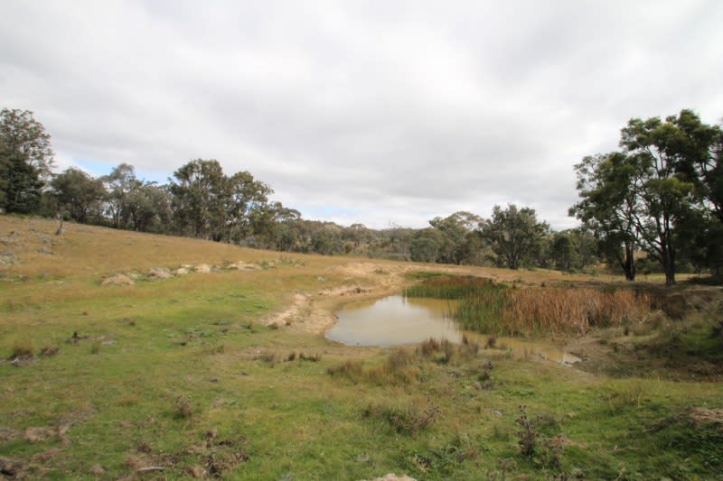 Click to view all images 1/724 Upper Piambong Road Mudgee NSW 2850 - Image 3