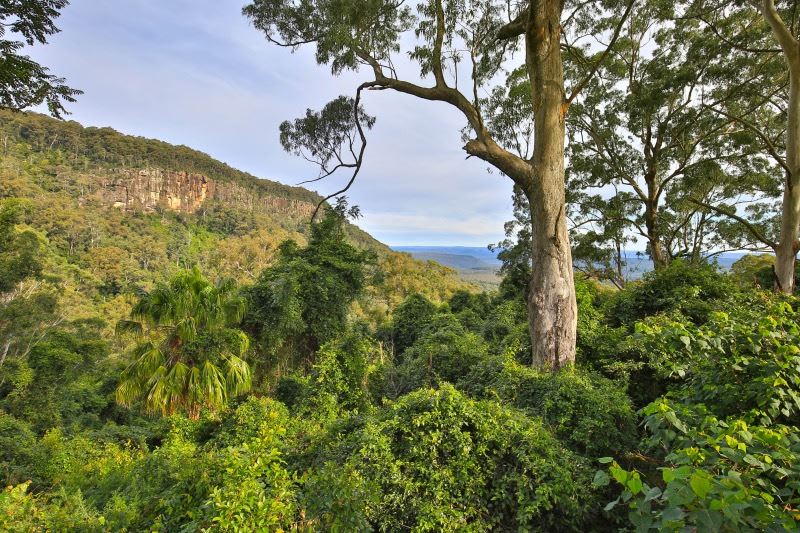 773B Mount Scanzi Road Kangaroo Valley NSW 2577 - Image 3
