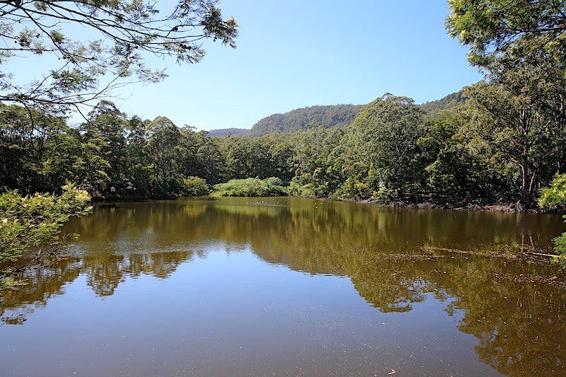 531 Mount Scanzi Road Kangaroo Valley NSW 2577 - Image 2