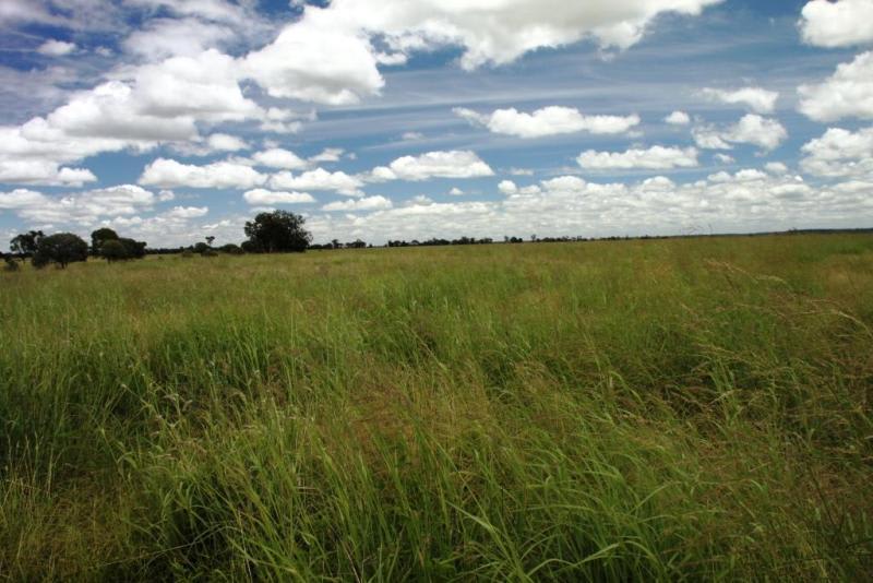 Click to view all images - Wyoming Roma QLD 4455 - Image 2