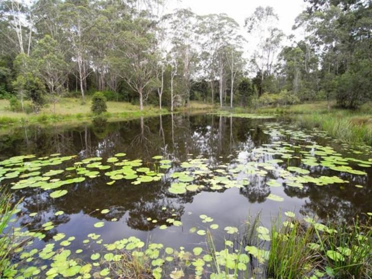 Wherrol Flat NSW 2429 - Image 2