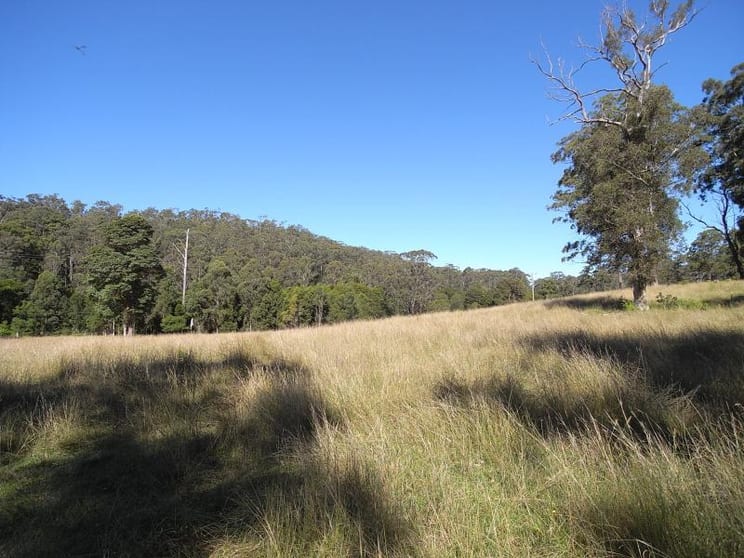 Wherrol Flat NSW 2429 - Image 3