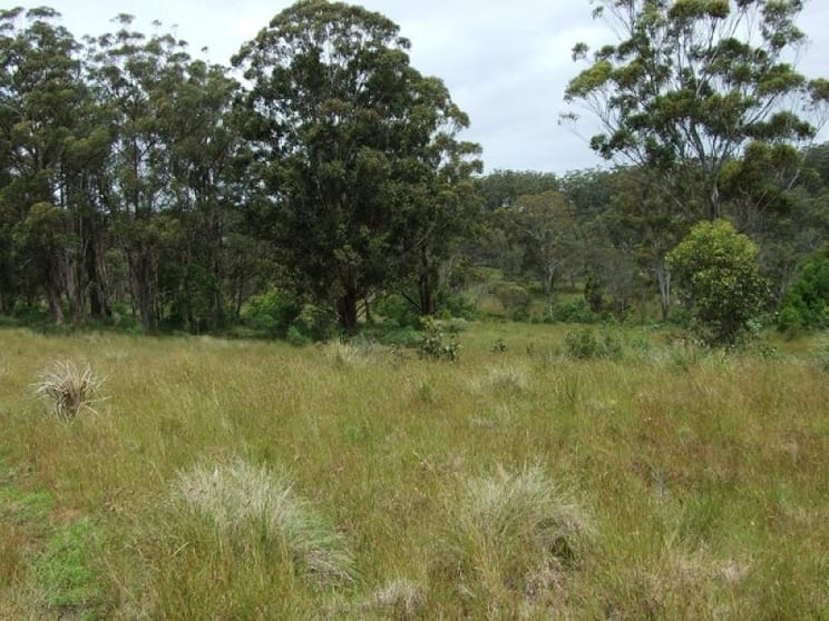 0 Barlows Gate Rd - Killarney Warwick QLD 4370 - Image 3