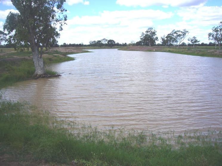 The Gums QLD 4406 - Image 2
