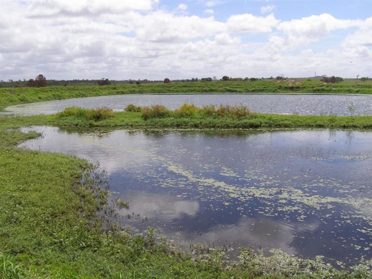 419 Bishop Rd, "Brahma" Garnant QLD 4702 - Image 1