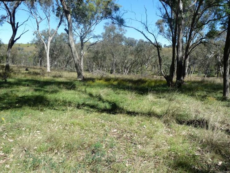 Click to view all images Mudgee NSW 2850 - Image 3