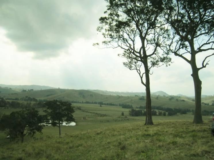 Click to view all images 223 Hanleys Creek Rd Dungog NSW 2420 - Image 1