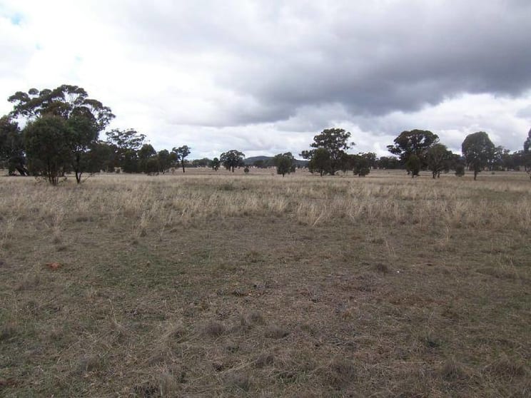 Click to view all images 6015 Burley Griffen Way Cootamundra NSW 2590 - Image 2