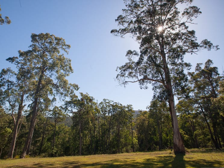 Wandella NSW 2550 - Image 2